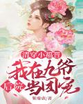 清穿小福晋:我在九爷后院当团宠